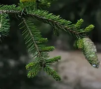 爱游戏体育-c1212是什么